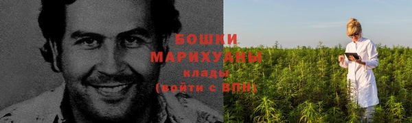 винт Коряжма