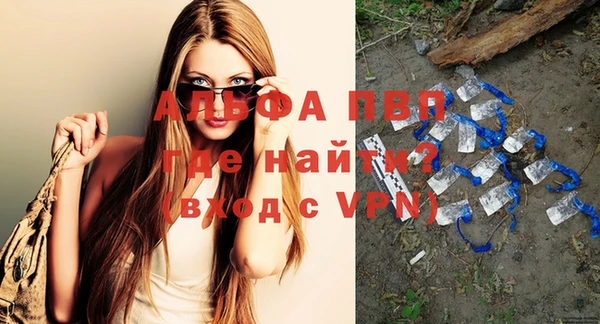 винт Коряжма