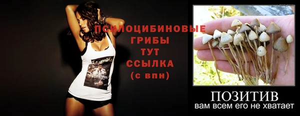 дурь Костерёво