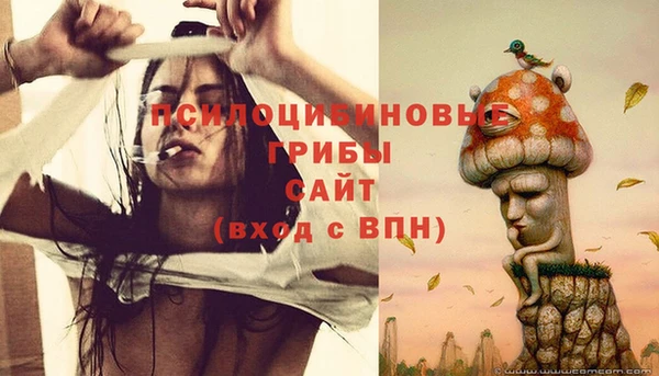 винт Коряжма