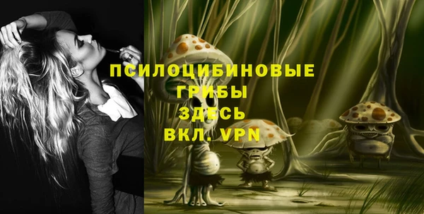 дурь Костерёво