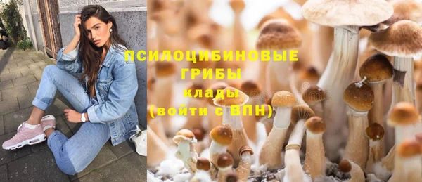 винт Коряжма